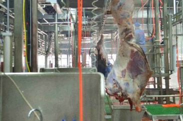 南宫NG·28(中国)相信品牌力量,南宫28娱乐相信品牌的力量,南宫NG28平台网站食品